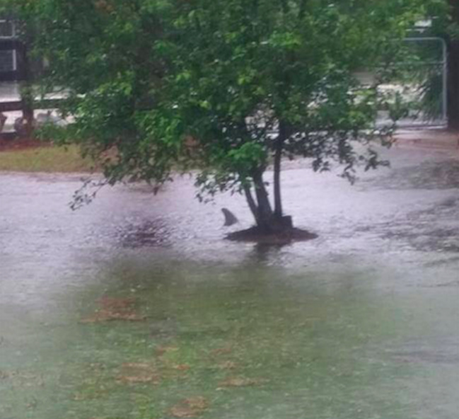 Illustration de l'article : Ces 30 photos de situations absurdes ou inhabituelles