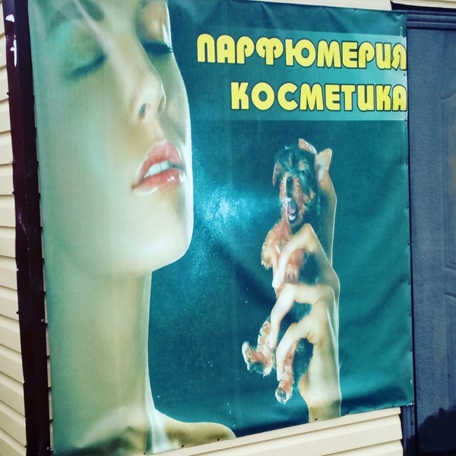 Illustration de l'article : Ces 26 photos résument la vie d’un malchanceux