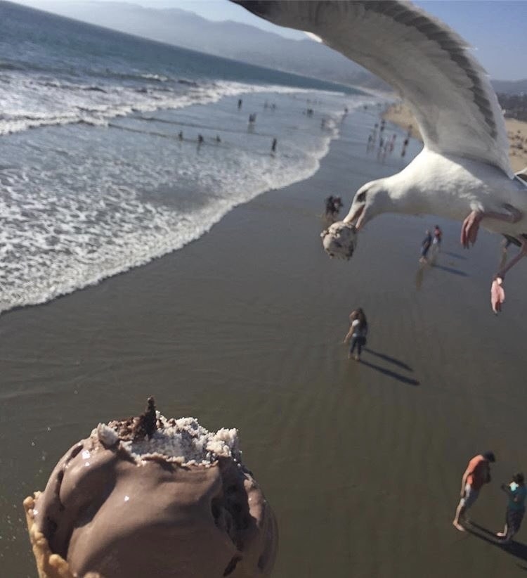 Illustration de l'article : 19 photos qui mettent en valeur l’art du timing parfait
