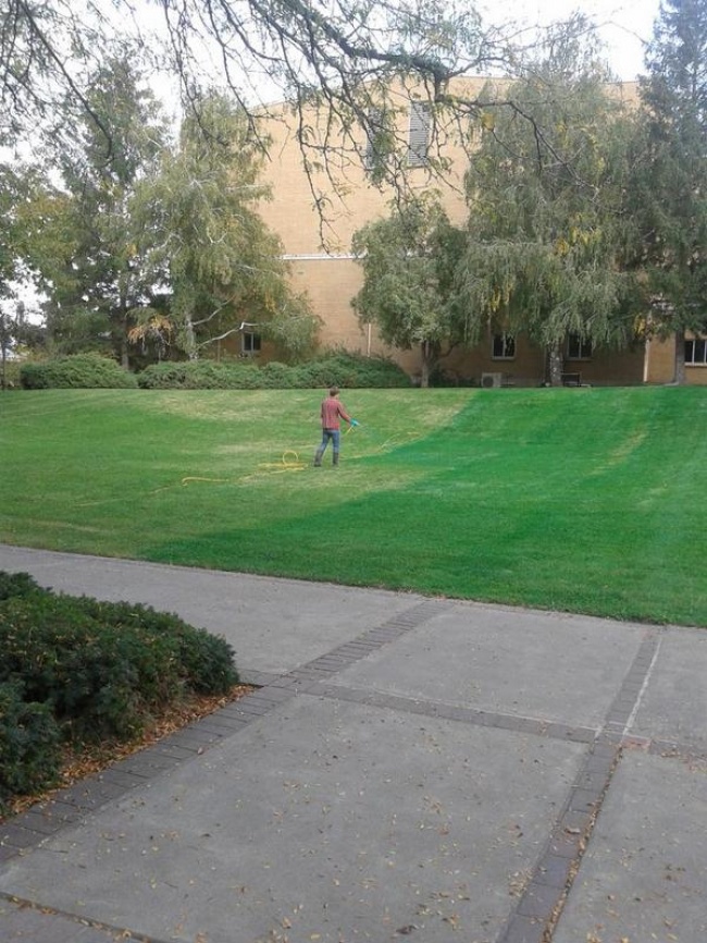 Illustration de l'article : 12 images qui prouvent notre ignorance face &agrave; ce monde