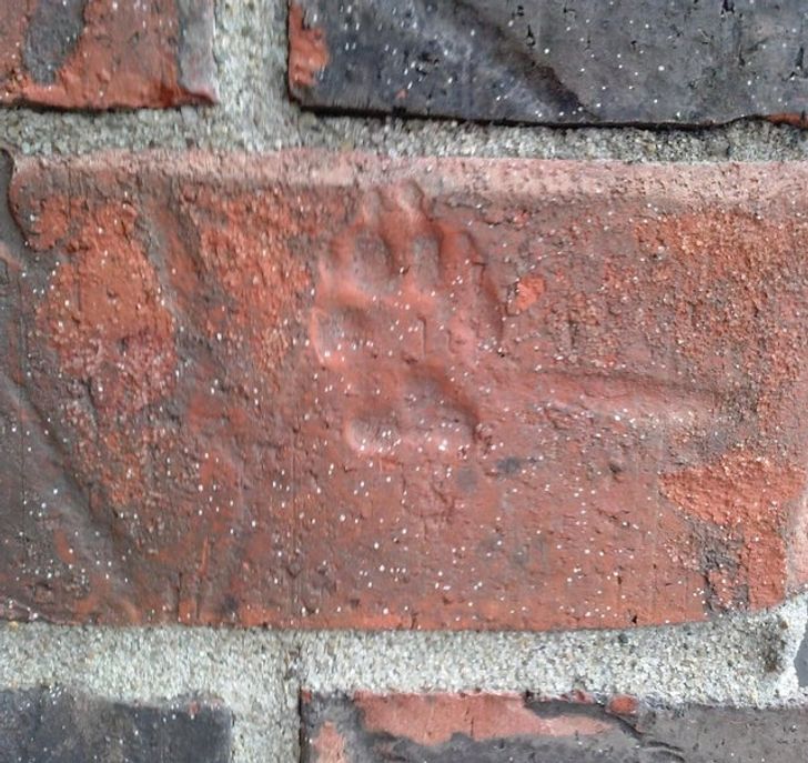 Illustration de l'article : Ces 18 photos des découvertes qu'on peut faire en emménageant