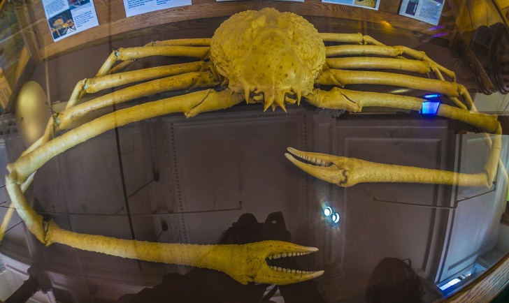 Illustration de l'article : Ces 19 photos effrayantes sauf pour les amateurs de sensations fortes