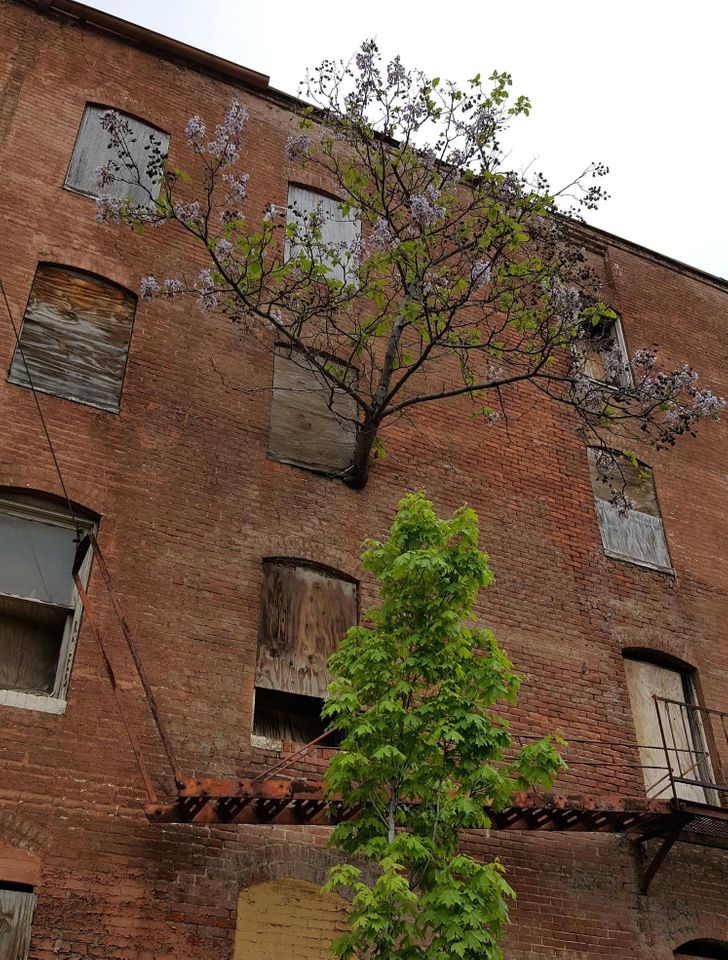 Illustration de l'article : Ces 14 photos qui montrent la puissance de la nature