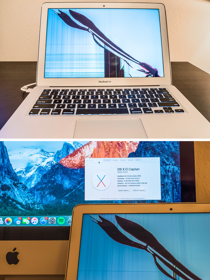 Illustration de l'article : Ces 22 tr&eacute;sors retrouv&eacute;s dans une poubelle