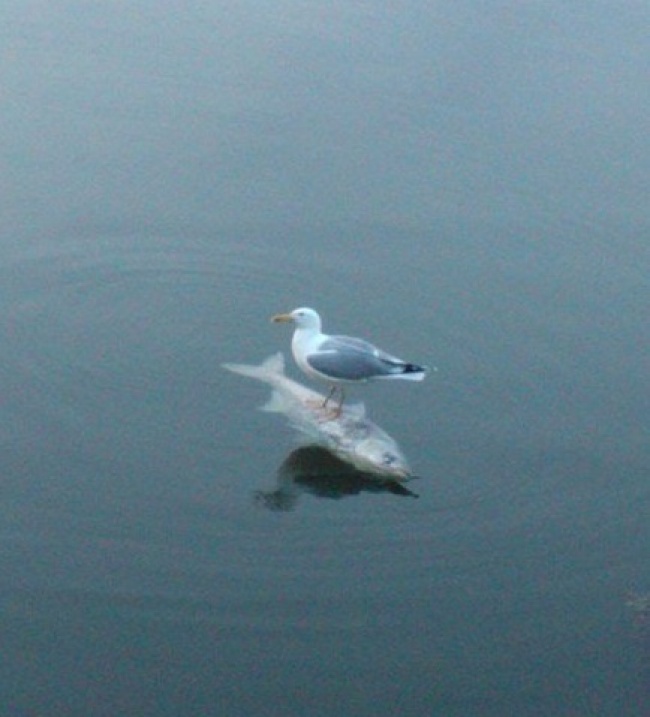 Illustration de l'article : Le hasard a bien fait les choses dans ces 25 situations