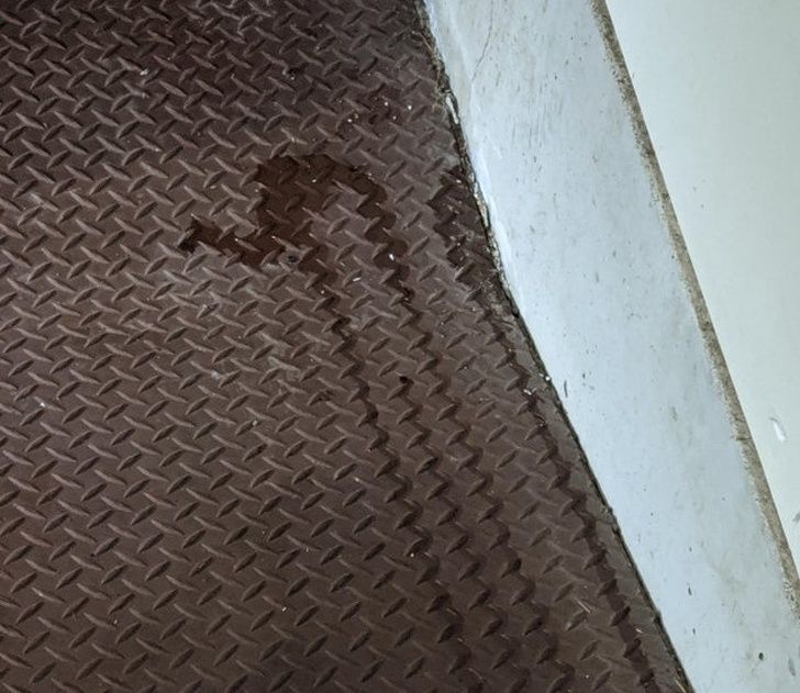 Illustration de l'article : Ces 20 photos qui mettent en avant certaines trouvailles