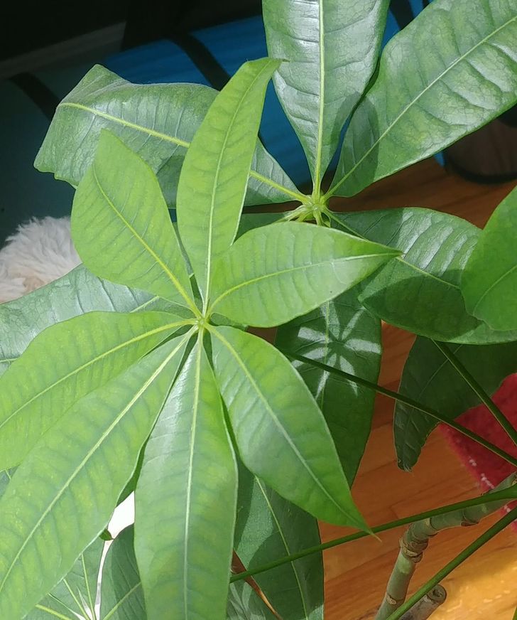 Illustration de l'article : Ces 17 photos qui montrent à quel point la nature est riche