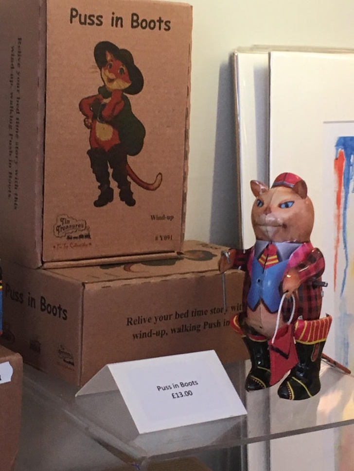 Illustration de l'article : Ces 19 photos de personnes pour qui la bêtise n'a pas de limite