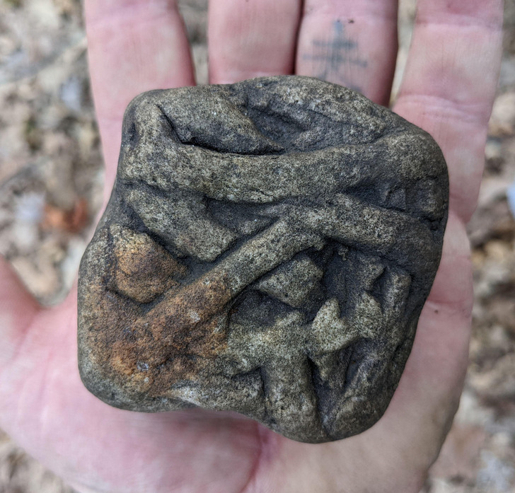 Illustration de l'article : Ces 16 choses inhabituelles créées par la nature