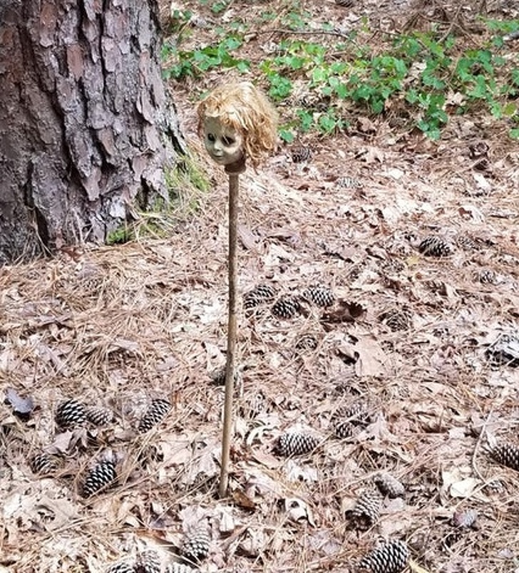 Illustration de l'article : Ces 16 photos montrent que certaines personnes ont des idées bien particulières