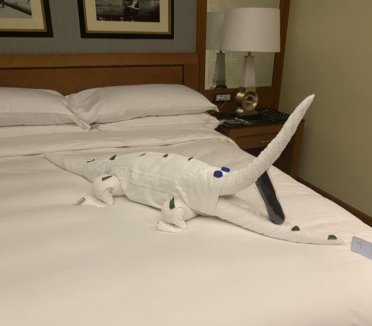 Illustration de l'article : Ces 18 personnes qui ont été récompensées par la chance