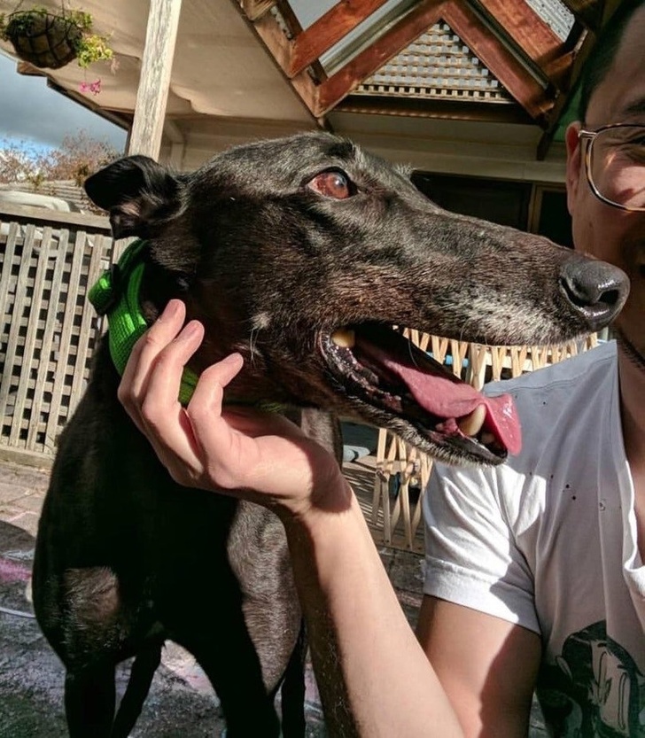 Illustration de l'article : Ces 21 photos qui dupent l'esprit et le cerveau