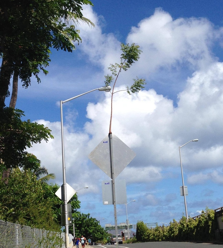 Illustration de l'article : Ces 15 photos qui remettent beaucoup de choses en question