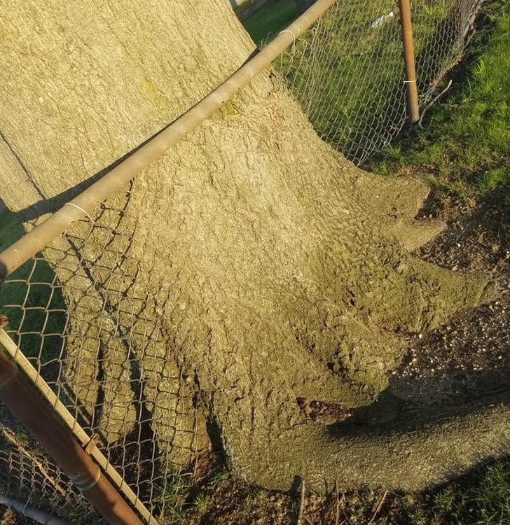 Illustration de l'article : Ces 19 exceptions qui ont marqué les auteurs de ces photos