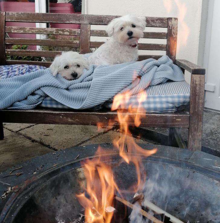 Illustration de l'article : Ces 20 personnes qui ont revisité les fêtes d'anniversaire et les cérémonies de mariage 