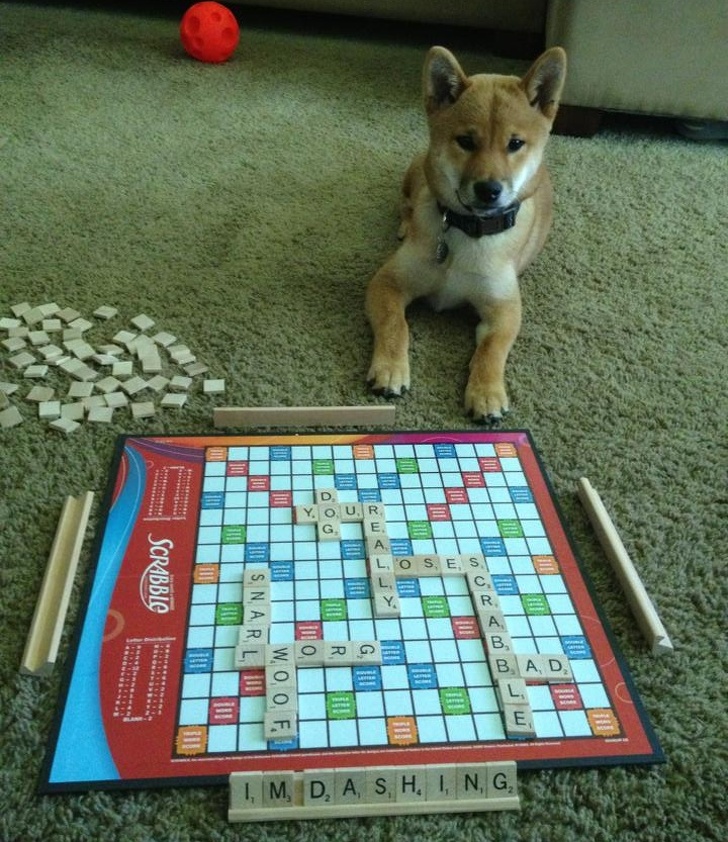 Illustration de l'article : Ces 18 couples qui savent se renouveler pour ne pas sombrer dans la monotonie