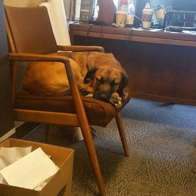 Illustration de l'article : Ces 22 photos qui résument bien ce qu'est la fatigue