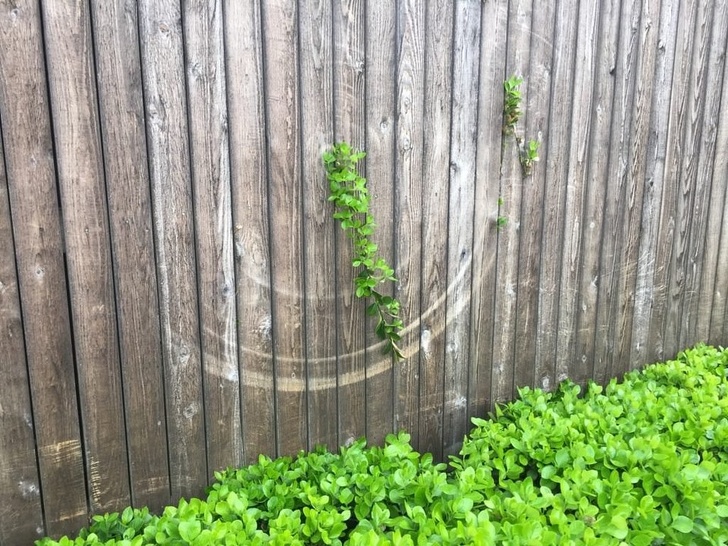 Illustration de l'article : Ces 21 photos qui montrent que l'Homme et la nature sont parfois incompris