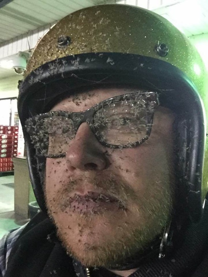 Illustration de l'article : Ces 18 personnes qui savent amuser leur entourage