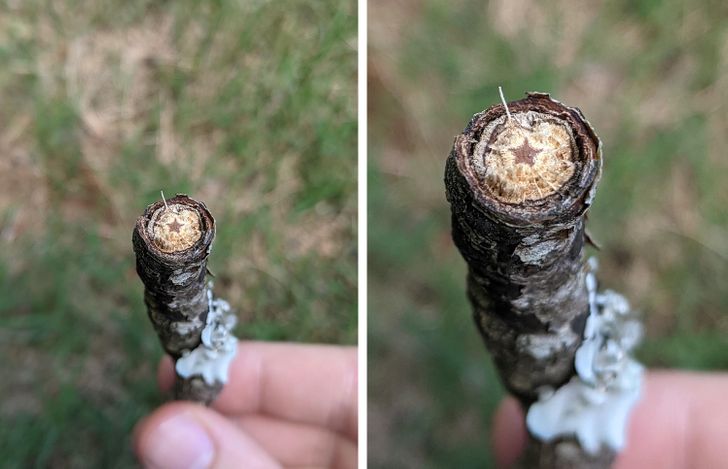 Illustration de l'article : Ces 20 photos illustrant les oeuvres insolites de la nature