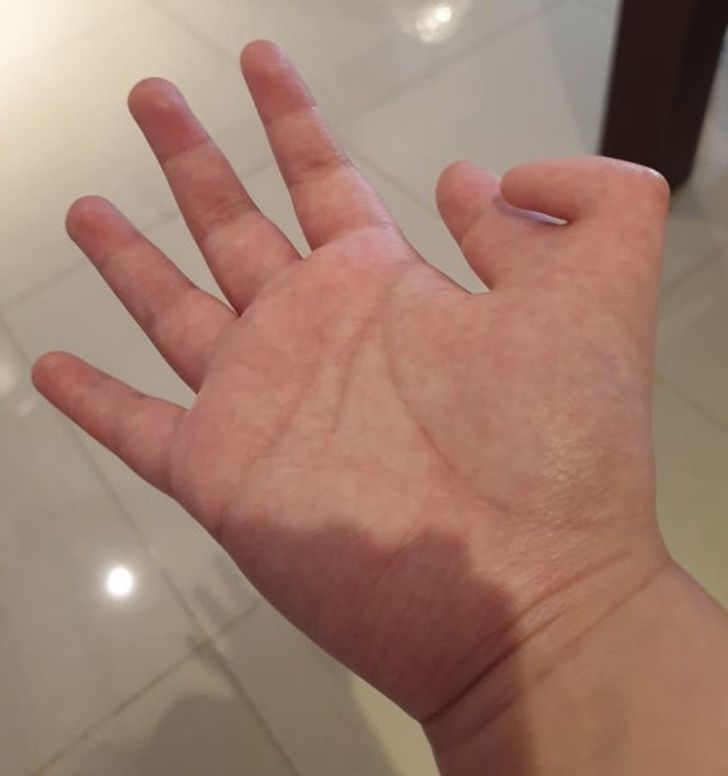 Illustration de l'article : Ces 18 fois où la nature s'est surpassée