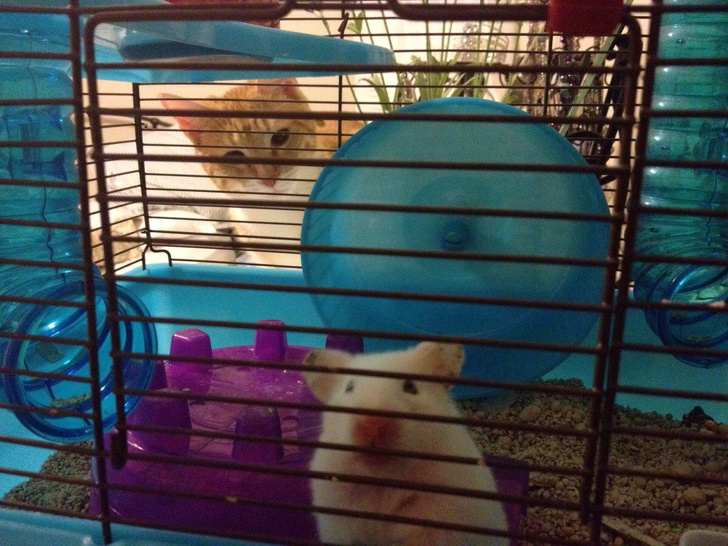 Illustration de l'article : Ces 21 photos où l'arrière-plan a pris le dessus sur le devant