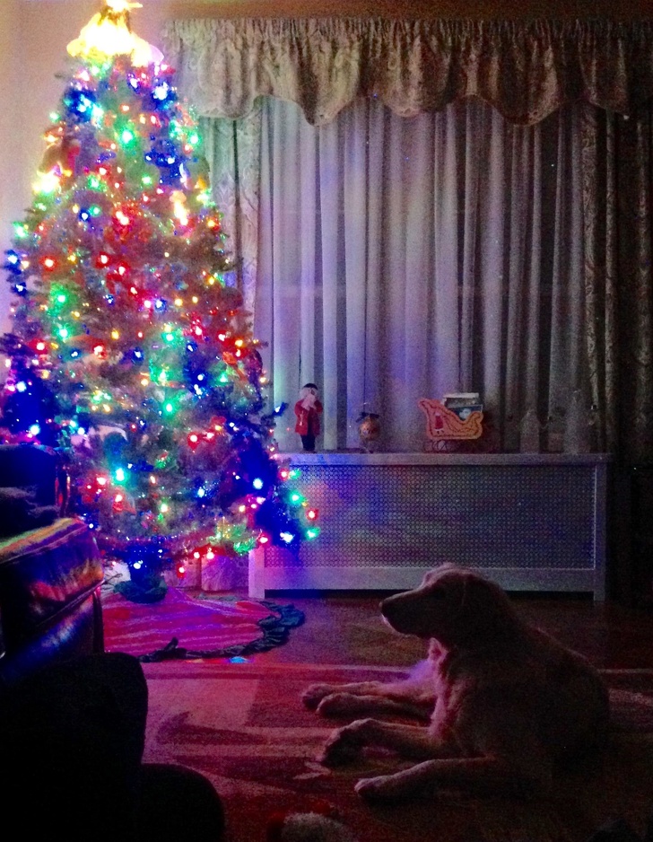 Illustration de l'article : Ces 15 photos qui racontent une histoire sensible