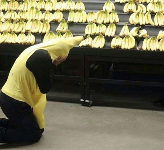 Illustration de l'article : 22 photos qui montrent que certaines personnes n'ont pas toute leur tête