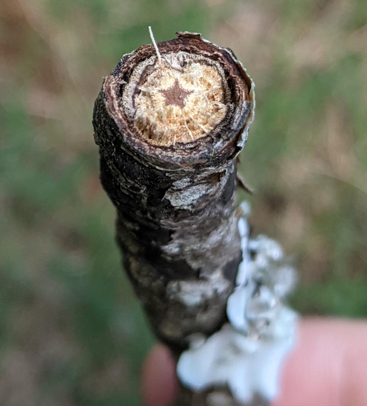 Illustration de l'article : Ces 17 photos qui montrent que Dame Nature a de l'humour