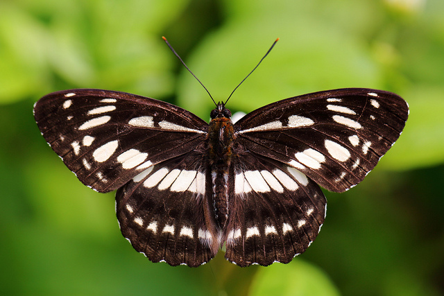 Illustration de l'article : La nature crée de merveilleuses œuvres d’art, comme le montrent ces 31 photos