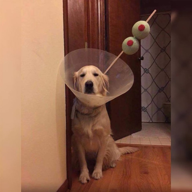 Illustration de l'article : Ces 13 situations où quelque chose ne va pas