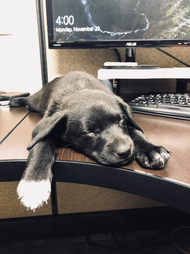 Illustration de l'article : Ces 30 choses simples qui rendent la vie plus belle