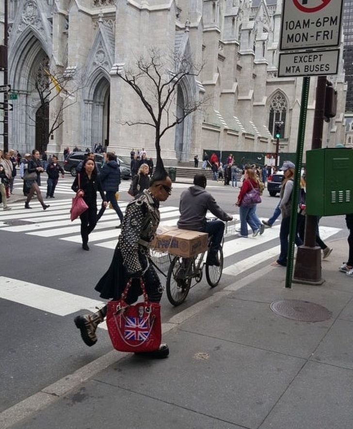 Illustration de l'article : Ces 24 images chanceuses prises au moment parfait