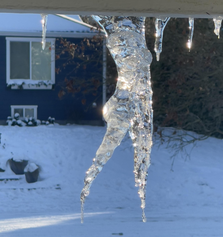 Illustration de l'article : Ces 20 photos qui illustrent les oeuvres de la nature en hiver