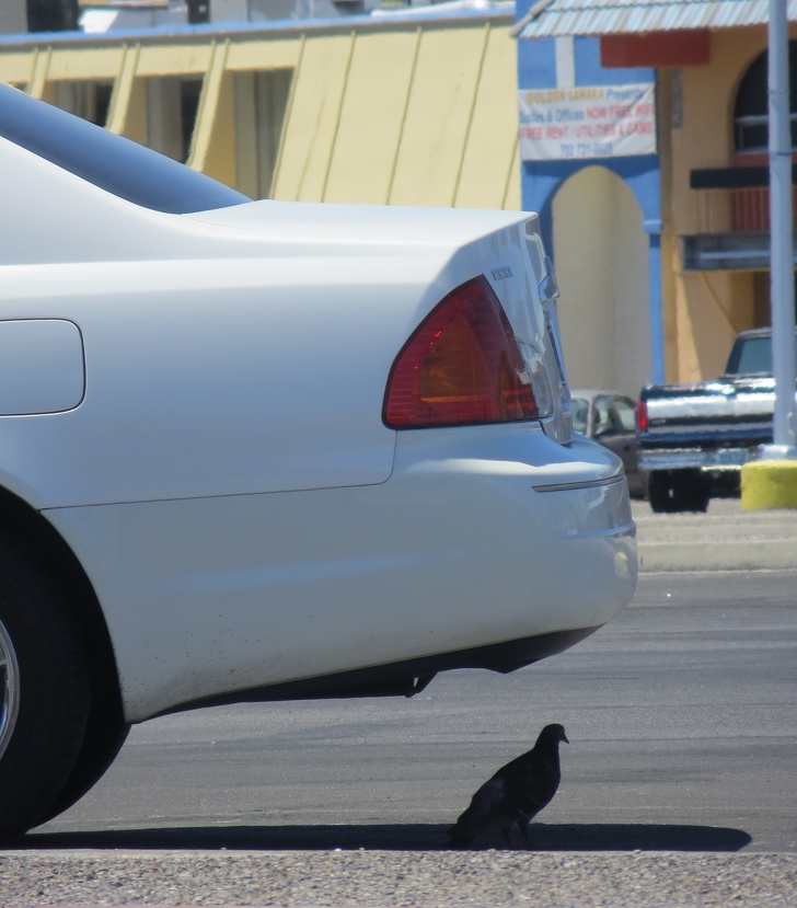 Illustration de l'article : Ces 21 photos qui montrent que l'été peut parfois être difficile à vivre