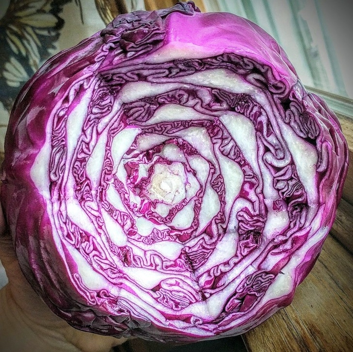 Illustration de l'article : Ces 22 situations n'avaient que peu de chance de se réaliser