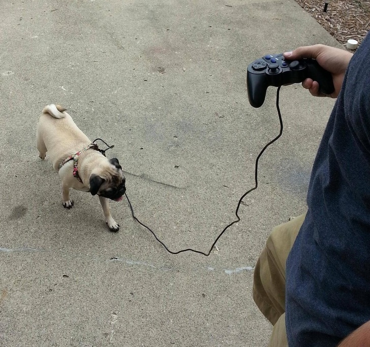 Illustration de l'article : Ces 16 personnes qui repoussent les limites de la d&eacute;brouille