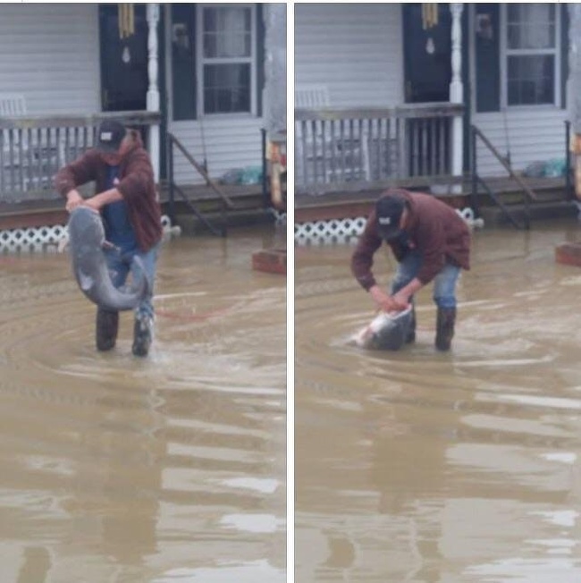 Illustration de l'article : Sélection des 23 photos insolites de la semaine