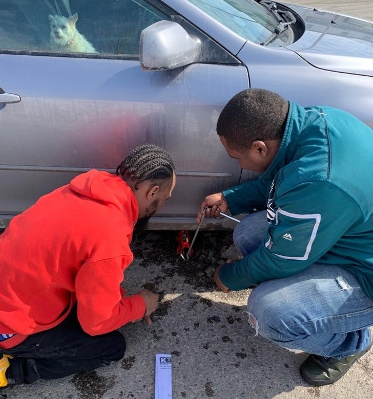 Illustration de l'article : Ces 22 actes de bonté dans le monde