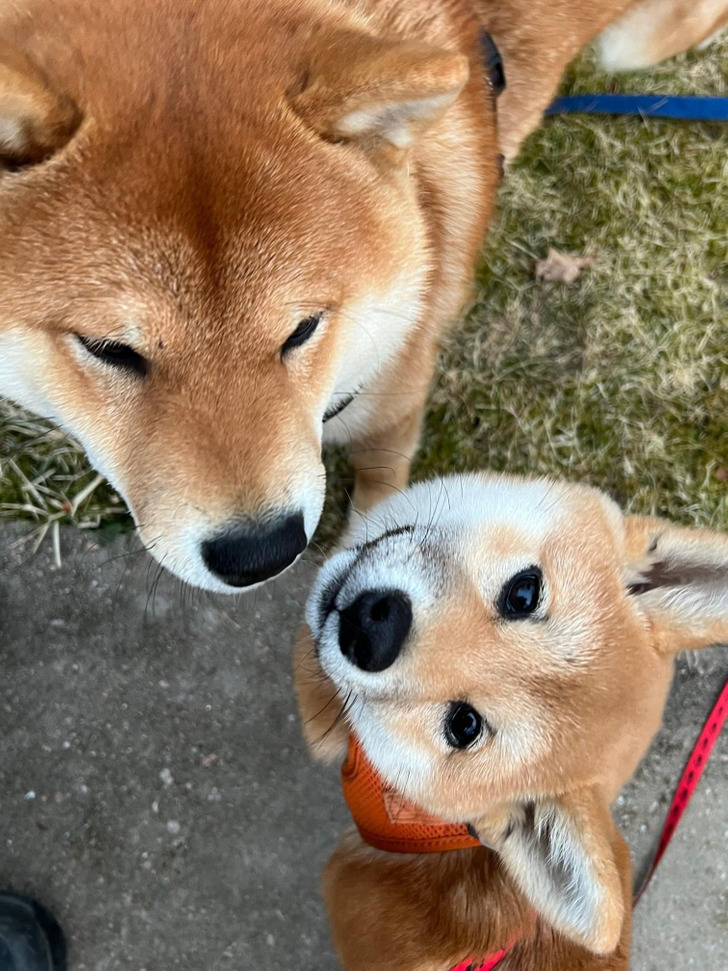 Illustration de l'article : Ces 15 photos qui illustrent des moments d'émotion et de tendresse