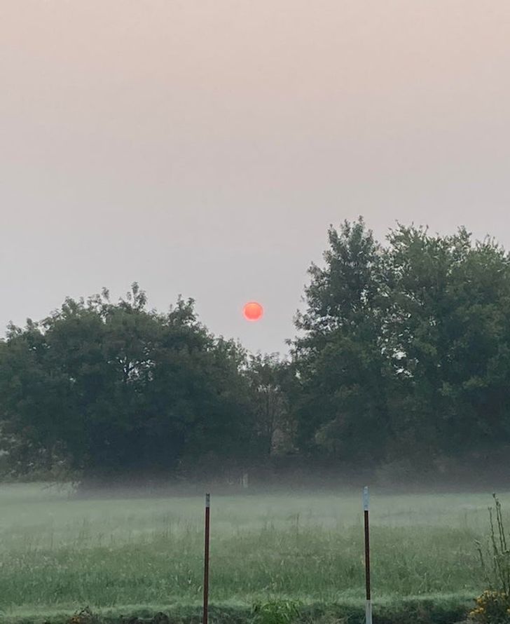 Illustration de l'article : Ces 20 photos qui illustrent les originalités de la nature