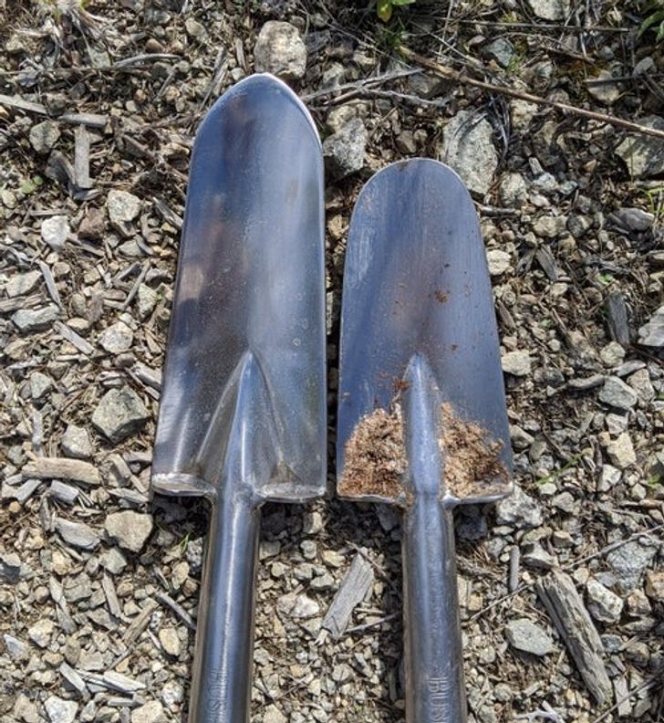 Illustration de l'article : Ces 20 situations dignes d'exp&eacute;riences scientifiques