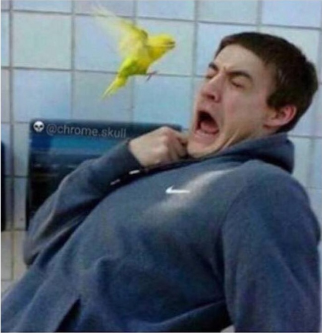 Illustration de l'article : 29 personnes qui ont vécu un moment très gênant