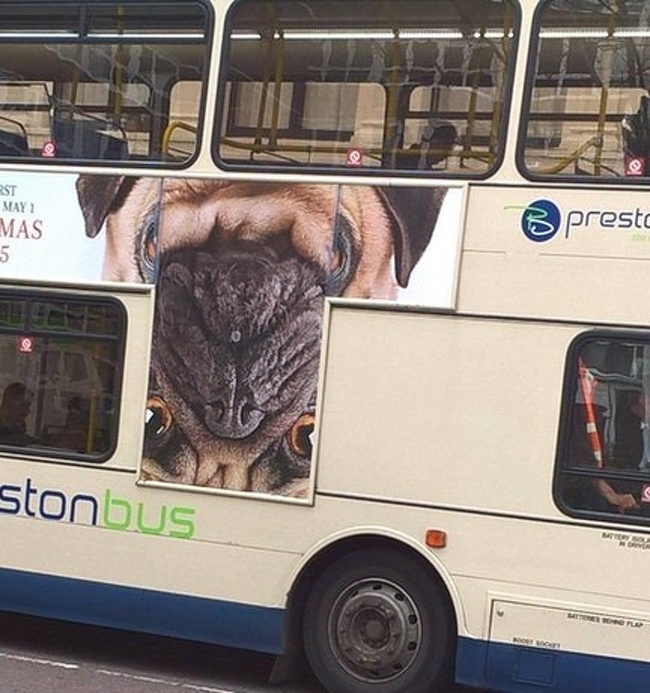 Illustration de l'article : Ces 21 personnes qui prennent la vie comme elle vient