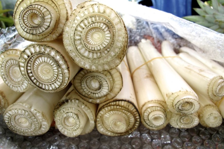 Illustration de l'article : Ces 31 photos montrant la face cachée d'objets ordinaires