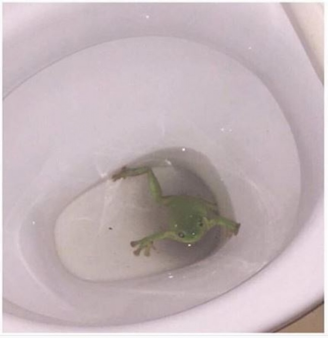 Illustration de l'article : 25 photos qui donnent des frissons en les regardant