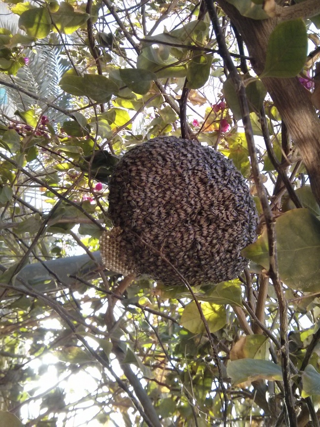 Illustration de l'article : 25 photos qui donnent des frissons en les regardant