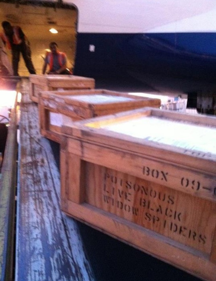 Illustration de l'article : Ces 22 choses que l'on ne peut voir qu'à l'aéroport