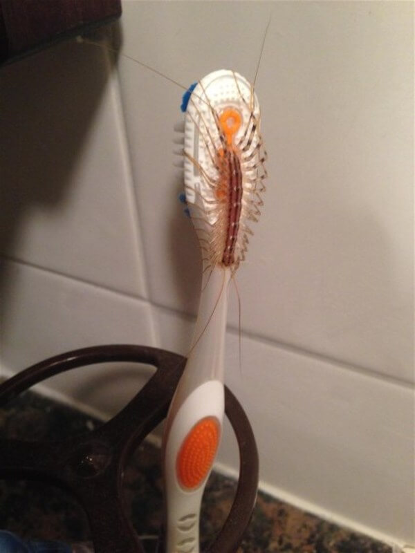 Illustration de l'article : 14 moments horribles qu'on ne souhaiterait jamais connaitre