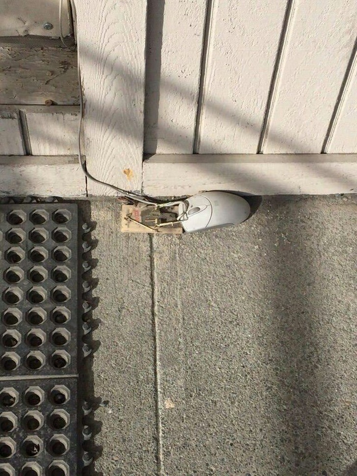 Illustration de l'article : Ces 18 personnes qui ont eu une idée pas forcément intelligente